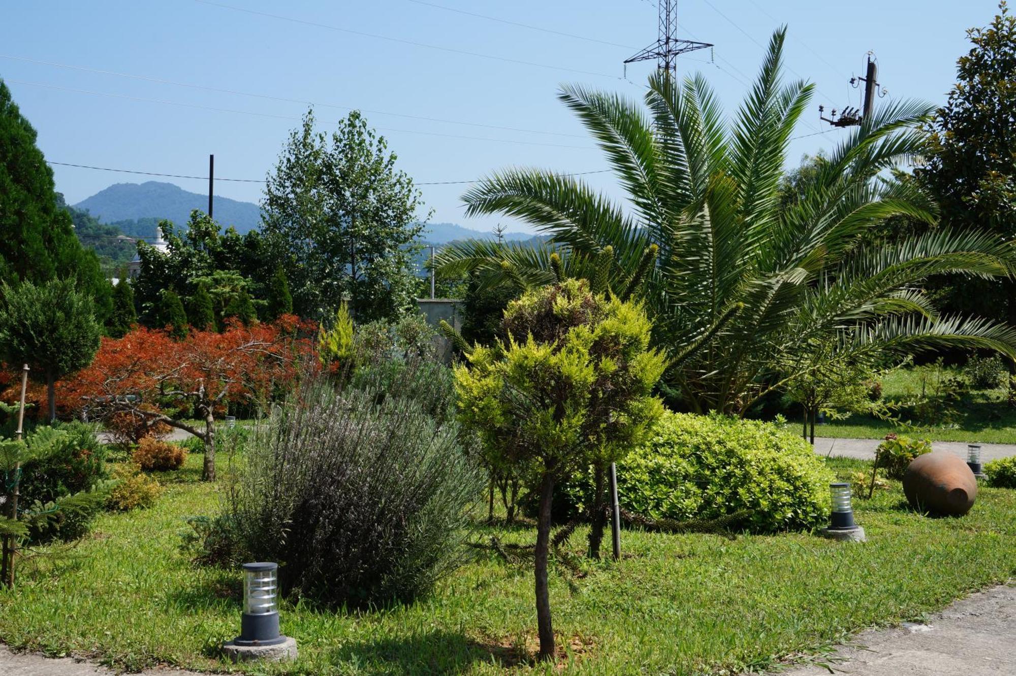 Villa Qero Batumi Eksteriør billede
