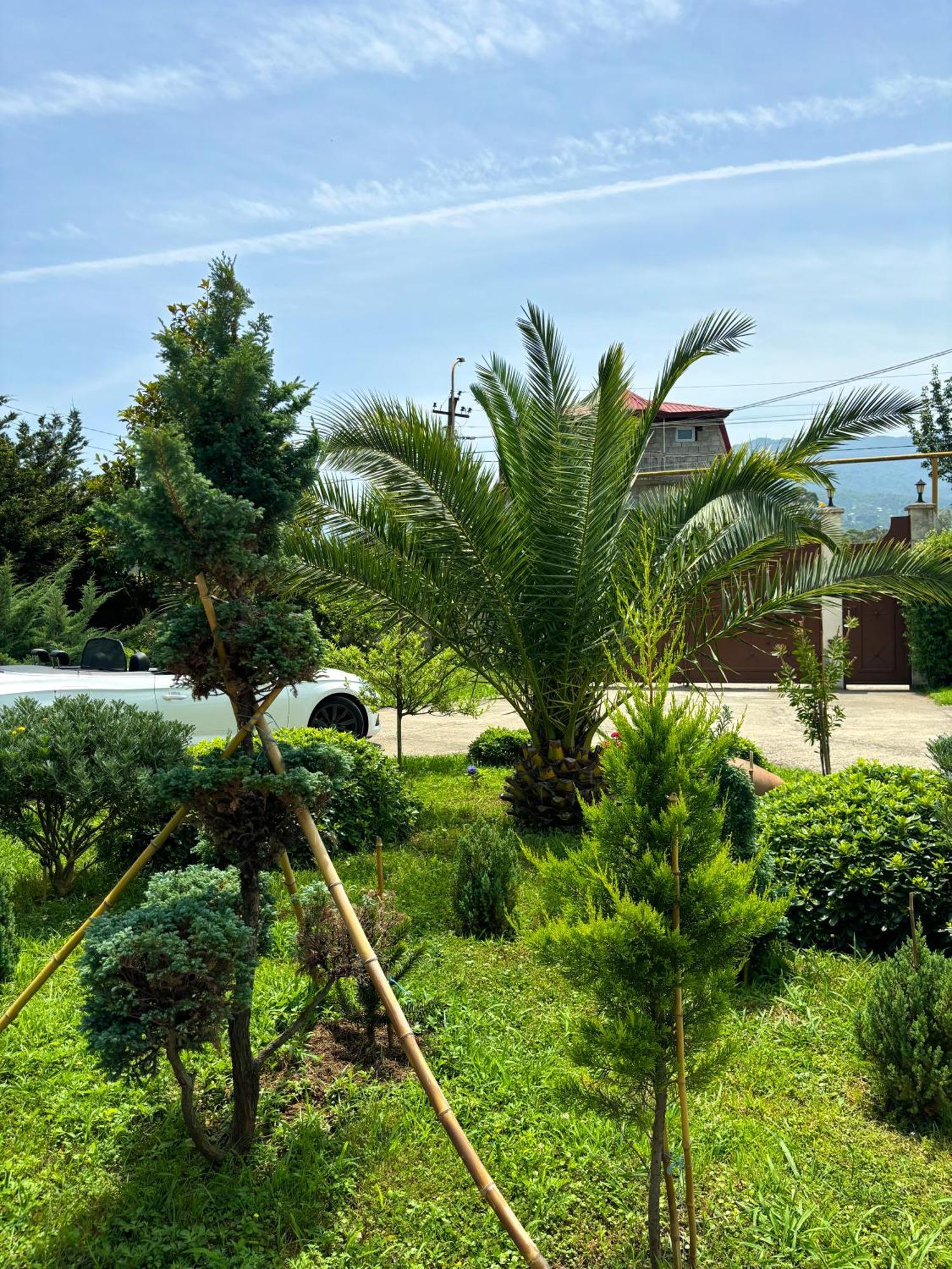 Villa Qero Batumi Eksteriør billede